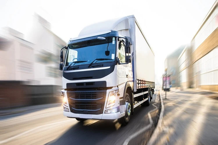 Maltepe Şehir İçi Şehirler Arası Taşımacılık